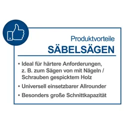 Akku-Säbelsäge C-RS100-X Scheppach LED 29207 8869