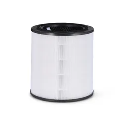 BOSCH HEPA-Filter Luftreinigerfilter 4062321717995