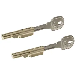 BASI Türriegel Schlüssellochsperrer für Buntbart-Schlösser Spar-Set 4026434439083