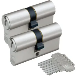 BASI Schließzylinder 2er SET V50 Gleichschließend 4026434454840