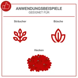 Benzin-Heckenschere BHS650 Scheppach 26596 8167
