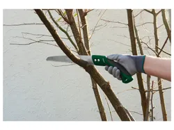 PARKSIDE® Gartensäge 4054599105789