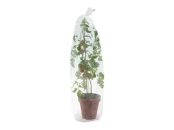 PARKSIDE® Vliessortiment Tomaten-Schlauch 4052916297360