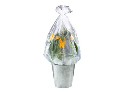 PARKSIDE® Strauch-Folienhaube mitwachsend 27057 8295
