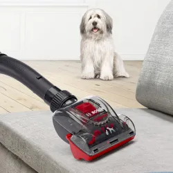 BOSCH Bodenstaubsauger Serie 6 ProAnimal BGC41PET 8440 2482