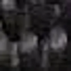 ABUS Kettenschloss 5805K black 6936 2166