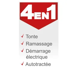 Aufsitzrasenmäher MR224-61 Scheppach 18697 5733