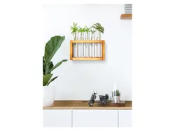 PARKSIDE® Ableger- und Vermehrungsstation (Reagenzgläser/Holzgestell) 35901 10781