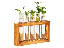 PARKSIDE® Ableger- und Vermehrungsstation (Reagenzgläser/Holzgestell) 4052916886465