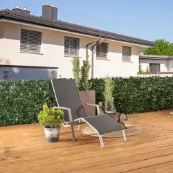 Sichtschutzhecke Ahornoca 9003117064935
