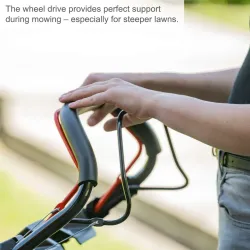 Rasenmäher MS173-51E Scheppach 781 230