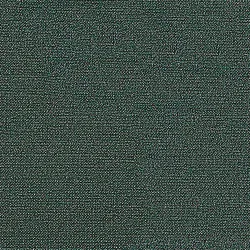 Z-Bl. Screenex CLASSIC grün 9003117061521