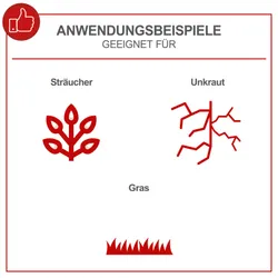 Benzin-Freischneider PBC330 Scheppach 28784 8764