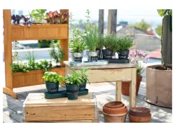 PARKSIDE® Hochbeet natur vorbehandelt mit umweltfreundlicher Lasur 100386549