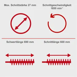 Benzin-Heckenschere HTH250 29798 4748