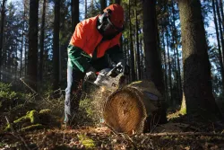 Benzin Kettensäge CSH56 Scheppach 4046664147923