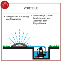 Tauchpumpe SBP250 scheppach 36949 11220