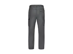PARKSIDE® Herren Arbeitsbundhose, gefüttert Dunkelgrau 4052916764855