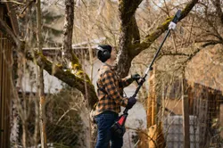 Multigartengerät MFH440-40LIPLUS Scheppach 4046664211235