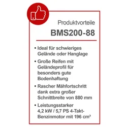 Benzin Balkenmäher BMS200-88 Scheppach 4046664254324