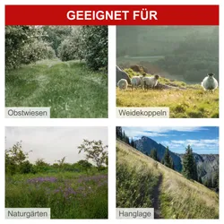 Benzin Balkenmäher BMS200-88 Scheppach 37286 11366