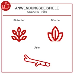 Akku-Gehölzschneider PCS6-20PROS Scheppach 4046664212362