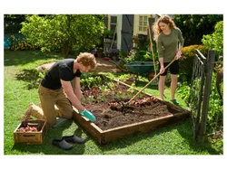 PARKSIDE® Herren Clog Garten Grün 4052916922446