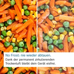 Bosch Kühl-/Gefrierkombination KGN39VXCT Serie 4 34499 1361