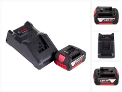 Bosch Professional Starter Set GBA 18 V GAL 18V-40 3165140970297