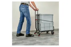 Parkside Transportkarren Parkside Performance Klappbar mit ausziehbarem Griff 35860 10773