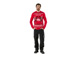 PARKSIDE® Herren Pullover Weihnachten Rot/Grün 4052916773116