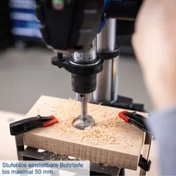 Tischbohrmaschine TBM250 Scheppach 34554 10401