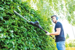 Elektro Heckenschere TPX710 scheppach 36455 10990