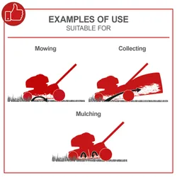 Benzin-Rasenmäher PML46-161S Scheppach 26458 8125