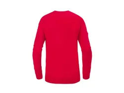 PARKSIDE® Herren Pullover Weihnachten Rot 31950 9641