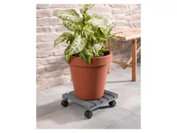 PARKSIDE® Pflanzenroller Holz grau mit 2 Feststellern 4052916613771
