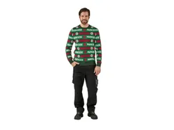 PARKSIDE® Herren Pullover Weihnachten Grün 4052916773062