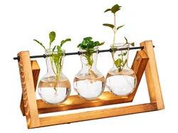 PARKSIDE® Ableger- und Vermehrungsstation Rundkolben/Metallgestell 4052916886441