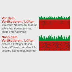 Benzin Vertikutierer SC40P Scheppach 37089 11264