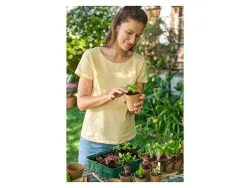 PARKSIDE® Anzuchtkasten-Set mehrfach verwendbar 4052916120439