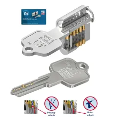 BASI Schließzylinder 2er SET V50 Gleichschließend 12680 3193