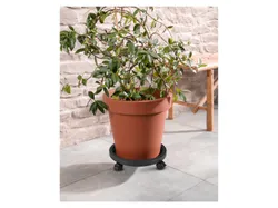 PARKSIDE® Pflanzenroller Kunststoff anthrazit mit 2 Feststellern 4052916613801