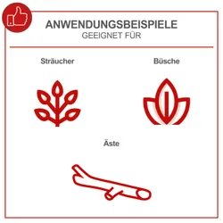 Akku-Gehölzschneider CBS260-20Li scheppach (DIY) 4046664184591