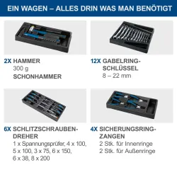 Werkstattwagen TW1000 Scheppach abschließbar Schwarz 1738 435