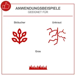 Benzin-Freischneider PBC310-4S Scheppach 19891 5992