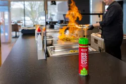 ABUS Feuerlöschspray Feuerstopp AFS625 fluorfrei lange haltbar Made in Germany für Haushalt Küche Camper Grill 4003318418334