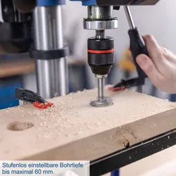 Tischbohrmaschine TBM250 Vario Scheppach 4046664256885