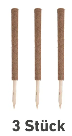 Onl.-Set Kokos-Pflanzstab V1 9003117891296