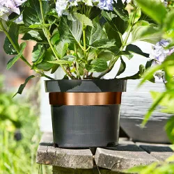 Schnecken-Abwehrband Kupfer 9003117024113