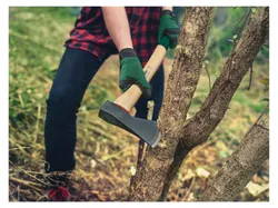 PARKSIDE® Axt/Vorschlaghammer (Forstaxt) 4052916695104